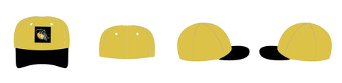 Customized curved brim hat
