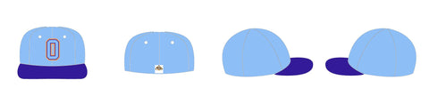 Customized flat brim hat
